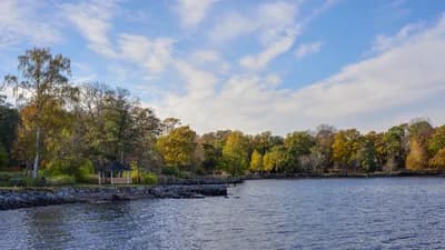 Djurgården