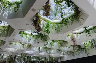 #1 Biophilic Design — 10 Interior Design Trends Defining Homes in 2025