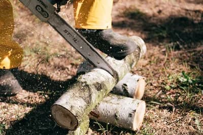 Logging / Lumberjack