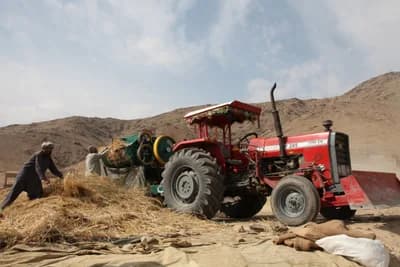 Farmers and Agricultural Workers