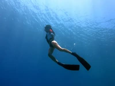 Freediving
