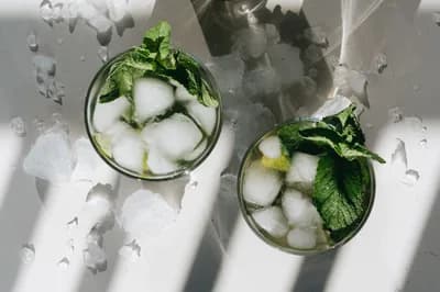 Mojito