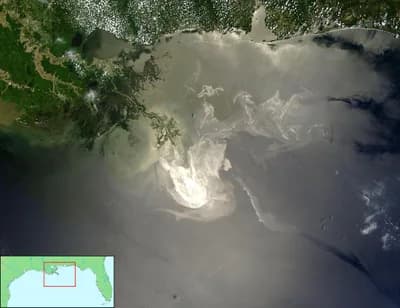 Deepwater Horizon Oil Spill (2010)