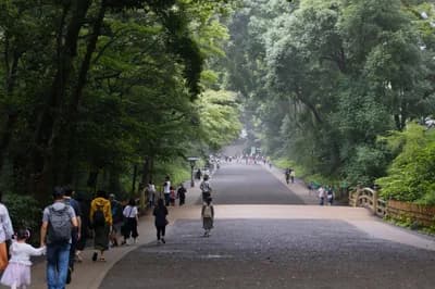 Explore Meiji Shrine & Forest Walk