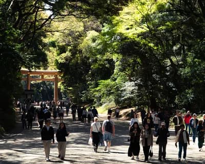 Meiji Shrine (Forest Shinto, Tokyo)
