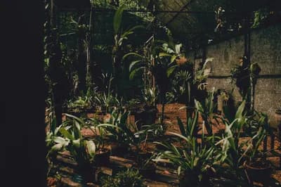 #13 Kadoorie Farm & Botanic Garden — Top 15 Best Parks & Outdoor Play Areas in Hong Kong 2026