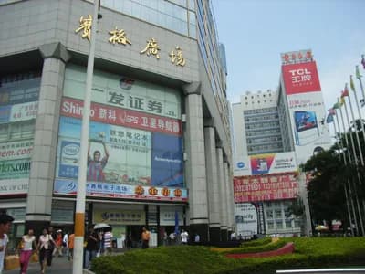 SEG Electronics Market