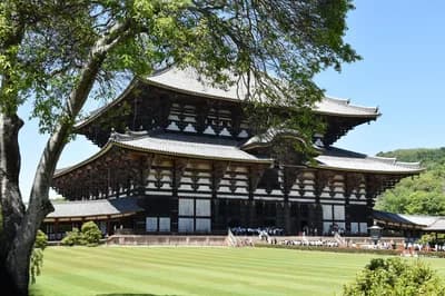 #3 Nara Deer Park & Todai-ji Temple — Top 20 Best Family Destinations in Japan From Hong Kong 2026