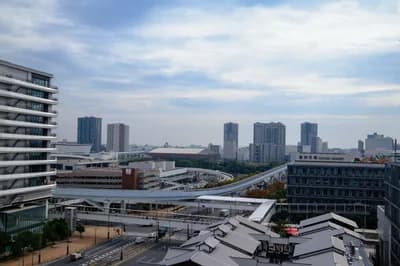 Toyosu Fish Market Morning Tour