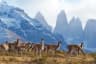 Patagonia, Chile & Argentina — The Route of Parks Rewilding Corridor