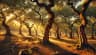 Portugal — Alentejo Cork Forests & the Montado Agritourism Renaissance