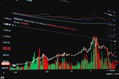 BNB (BNB)