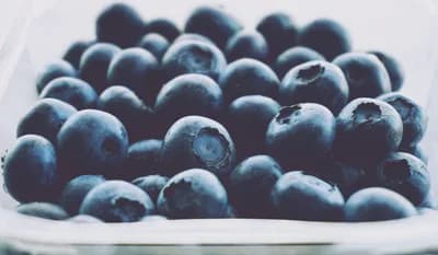 #1 blueberry — Top 10 Google Trends — Daily (GB) — August 19, 2026