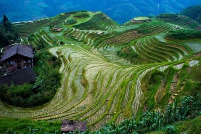 #5 Longji Rice Terraces — Li River or Reed Flute Cave? Top 10 Things to Do in Guilin