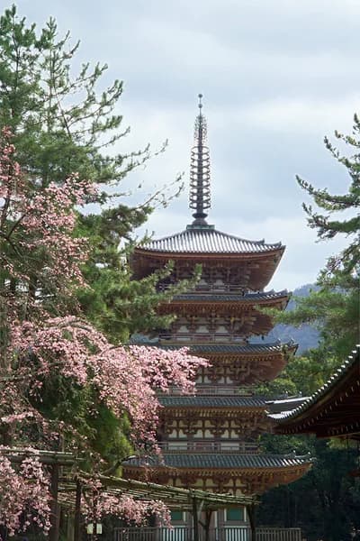 #2 Daigo-ji — Kiyomizu-dera, Kinkaku-ji or Nijo Castle? Top 10 Historic Monuments of Ancient Kyoto