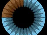 #1 3Blue1Brown — Top 10 Best Education YouTube Channels 2026