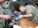 #2 Switzerland's Federal VET Diploma Program — Top 10 Best Vocational Training Programs 2026