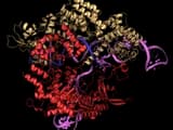 #2 Germline Editing for Heritable Traits — Top 10 Most Controversial Gene Editing Applications