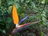 #3 Jardín Botánico de Bogotá, Colombia — Top 10 Best Botanical Gardens in the World