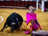 #3 Bullfighting Traditions in Spain and Latin America — Top 10 Most Controversial Animal Rights Issues