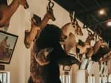 #1 Namibia's CBNR Trophy Hunting Model — Top 10 Trophy Hunting Controversies of 2026: Cecil, Captive Lions, and the Global Ban Debate