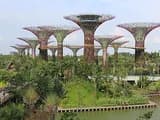 #1 Gardens by the Bay — Top 10 Parks and Gardens in Singapore 2026