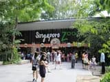 #3 Singapore Zoo — Top 10 Family Attractions in Singapore 2026