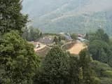 #1 Makaibari Tea Estate — Top 10 Tea Plantations in India 2026