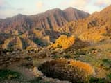 #2 Julfar Archaeological Site (Ras Al Khaimah) — Top 10 Historic Sites in the UAE in 2026