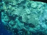 #2 Bunaken — Top 10 Indonesia Diving Spots in 2026