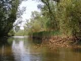 #3 Biesbosch National Park — Top 10 Must-Visit Nature Reserves in the Netherlands for 2026