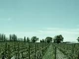 #3 Achaval-Ferrer Finca Altamira — Top 10 Argentine Wines & Wineries in 2026