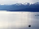 #3 Cruise the Beagle Channel — Top 10 Patagonia Experiences in 2026