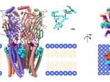 #3 AlphaFold 3 Solves Protein-Drug Interaction Problem — Top 10 Most Significant Scientific Discoveries of 2025