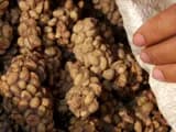 #2 Specialty Single-Origin Coffee — Top 10 Biggest Coffee Trends of 2025
