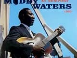 #3 Muddy Waters at Newport 1960 — Muddy Waters — The Crossroads: 10 Blues Albums That Tell the American Story