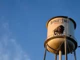 #2 Buffalo Trace Bourbon — Top 10 Whiskeys Every Beginner Should Try