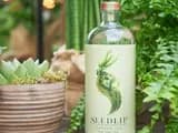 #2 Seedlip Garden 108 — Top 10 Non-Alcoholic Drinks That Don't Taste Like Compromise
