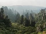 #3 Zhangjiajie National Forest Park — Top 10 Photography Locations That Break the Internet Every Year
