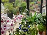#1 Biophilic Design — Top 10 Architecture and Design Trends Shaping 2026