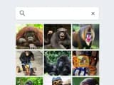 #3 Google Photos Mislabels Black People as Gorillas — Top 10 AI Failures and Controversies