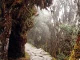 #2 Inca Trail, Peru — Top 10 Best Backpacking Routes in the World