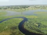 #3 Okavango Delta — Top 10 Best Safari Destinations in Africa