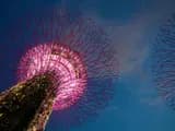 #2 Gardens by the Bay — Top 10 Things to Do in Singapore