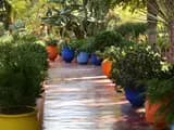 #3 Majorelle Garden — Top 10 Things to Do in Marrakech