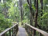 #1 Lekki Conservation Centre — Top 10 Experiences in Lagos