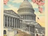 #3 United States Capitol — Top 10 Things to Do in Washington DC