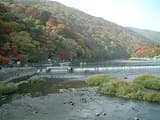 #3 Arashiyama Bamboo Grove — Top 10 Things to Do in Kyoto