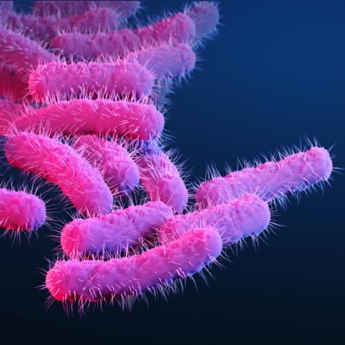 150 research primates got diarrhea, flooding lab with priceless vaccine data