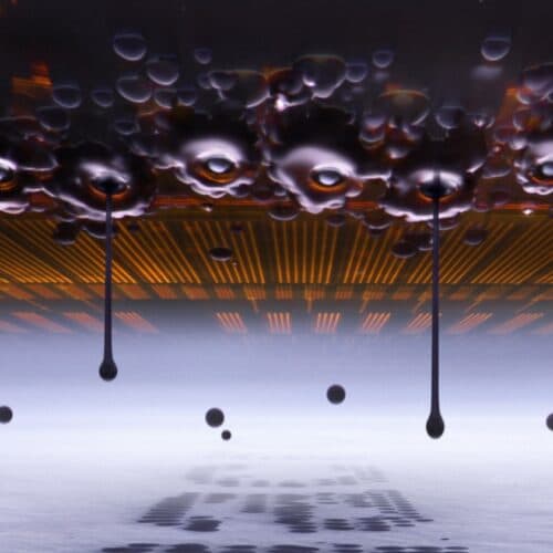 #7 Ink droplets in motion snag top prize in Nikon Small World contest — Top 10 Ars Technica — Latest — October 23, 2026